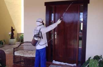 GF Controle de Pragas Urbanas - Foto 1