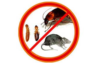 Rofep Controle de Pragas - Foto 1