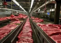 vagas de emprego frigorífico interior SP