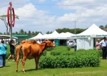 53ª Expoagro Itapetininga