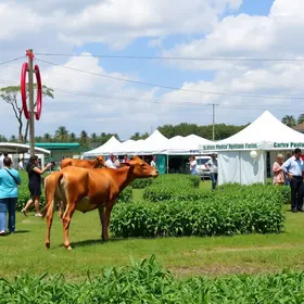 53ª Expoagro Itapetininga