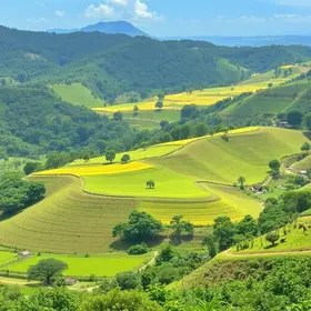 Guarda Aprendiz em Itapetininga