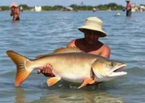 fim de semana em Itapetininga