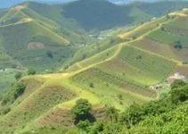 vagas de emprego Itapetininga