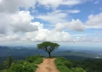 Tropeada Paulista