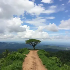 Tropeada Paulista