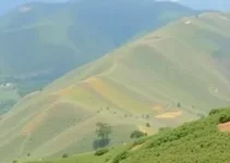 PAT de Itapetininga