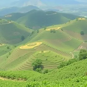 Prefeitura de Itapetininga