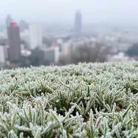 menores temperaturas de SP