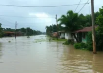 cheia de rio