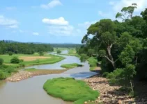 Rio Itapetininga