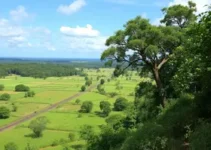 turismo rural em Itapetininga