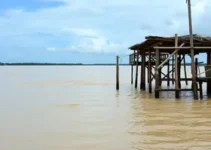 transbordamento do Rio Itapetininga