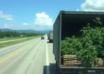 apreensões de drogas e cargas ilegais