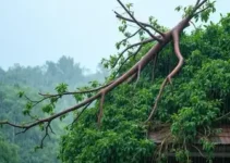 chuva em Itapetininga