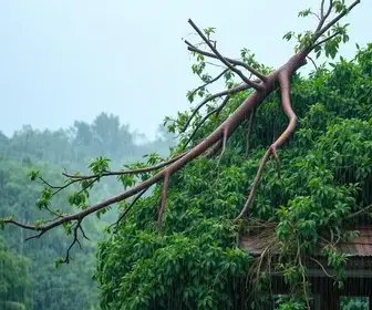 chuva em Itapetininga